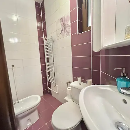 Vibrant Victoriei Апартаменты