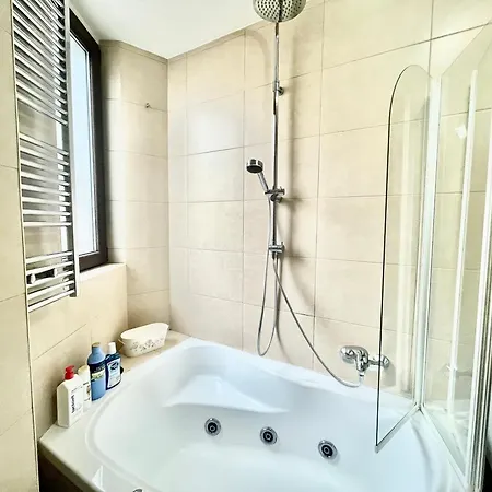 Apartament Vibrant Victoriei Bukareszt