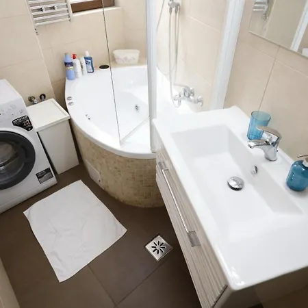 Apartament Vibrant Victoriei *