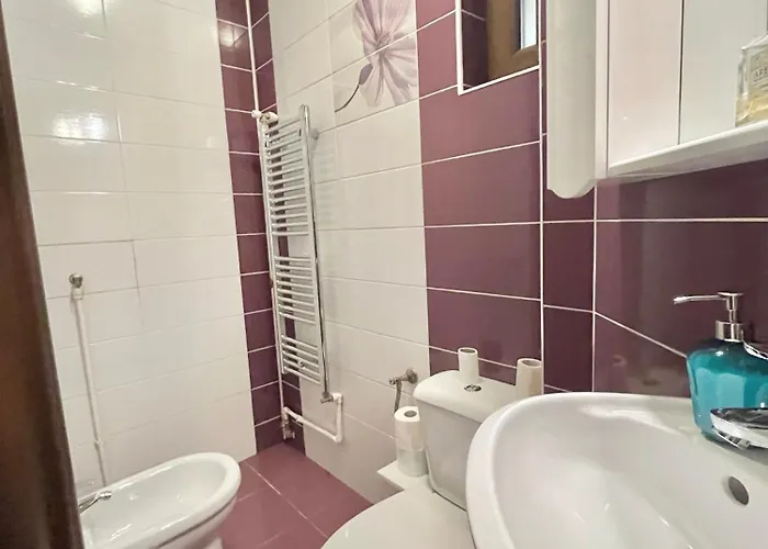 Vibrant Victoriei Lejlighed