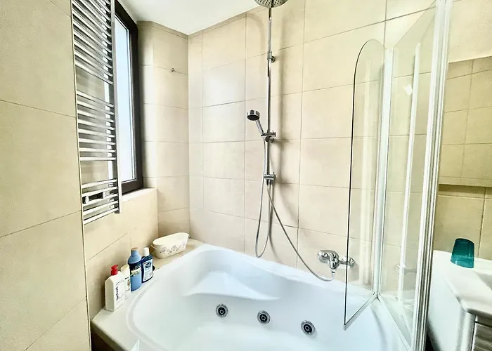 Apartament Vibrant Victoriei Bucureşti